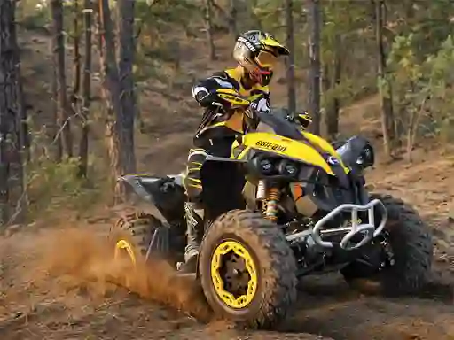 遊戲ATV Offroad Puzzle在線