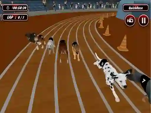 遊戲Crazyl Dog Racing Fever在線