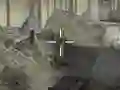 遊戲Sniper Duty在線