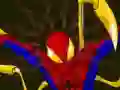 遊戲Spiderman Customization在線