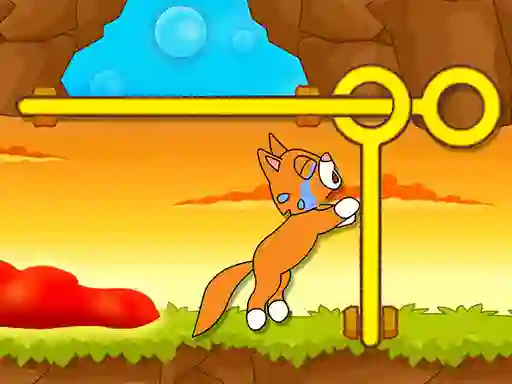 遊戲Save The Kitten在線
