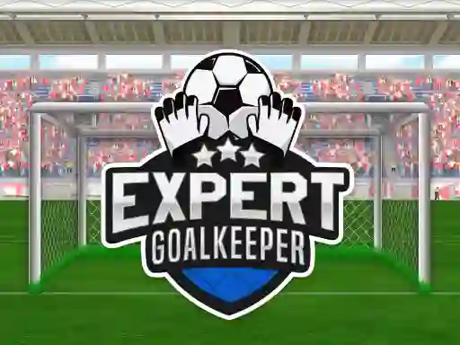 遊戲Expert Goalkeeper在線