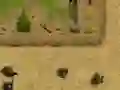 遊戲Ambush在線