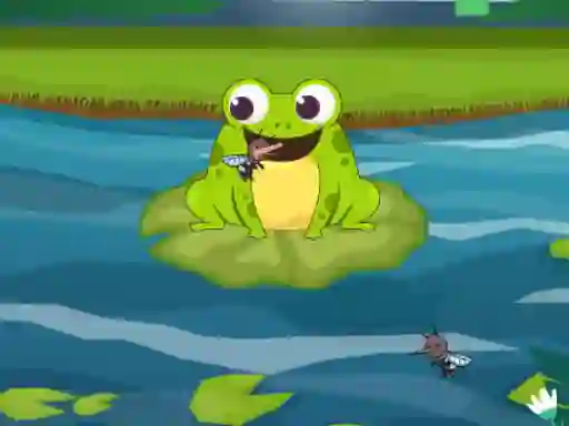 遊戲Frog Feast在線