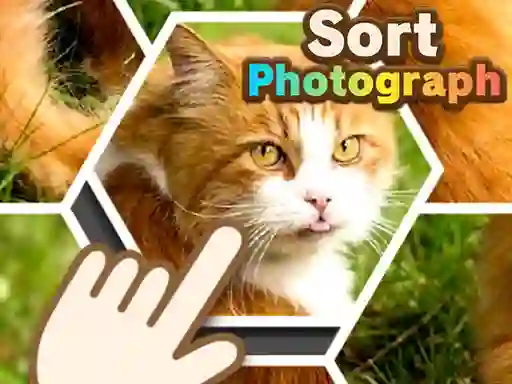 遊戲Sort Photograph在線