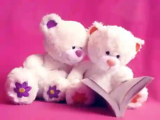 遊戲Cute Teddy Bears Slide在線