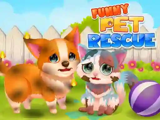 遊戲Funny Rescue Pet在線