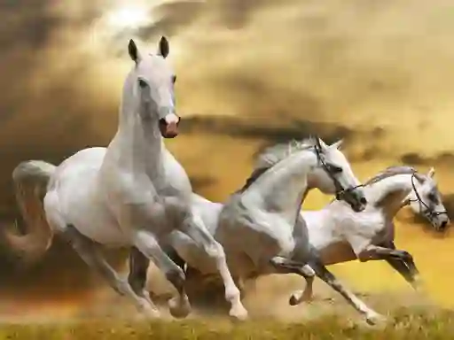 遊戲Running Horse Slide在線