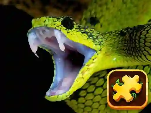 遊戲Snake Puzzle Challenge在線