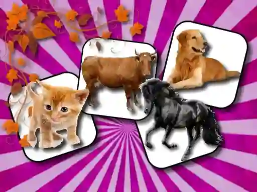 遊戲Domestic Animal Memory Challenge在線