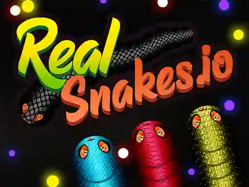 遊戲Real Snakes.io在線