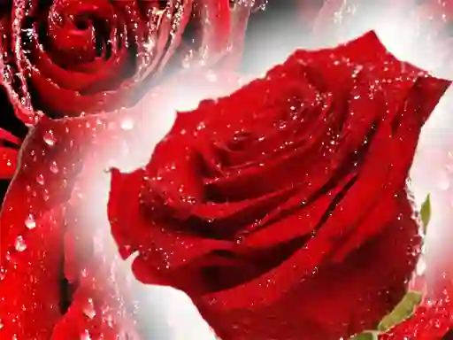 遊戲Red Roses在線