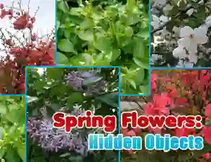 遊戲Spring Flowers: Hidden Objects在線