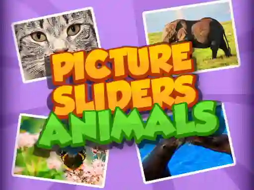 遊戲Picture Slider Animals在線