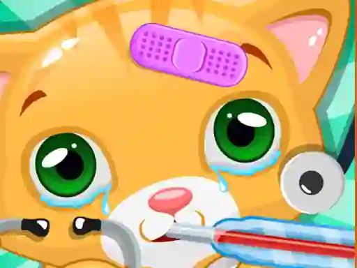遊戲Little Cat Doctor在線