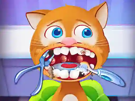 遊戲Pet House Little Friends在線