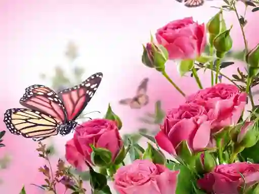 遊戲Butterflies Puzzle在線