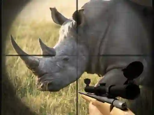 遊戲Wild Rhino Hunter在線