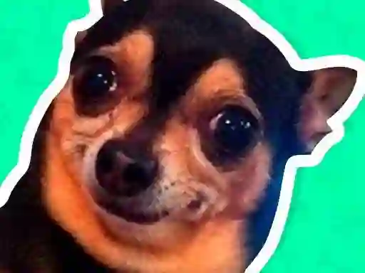 遊戲What meme dog are you ?在線