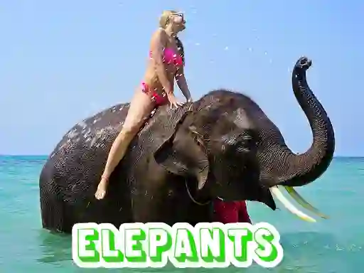 遊戲Elephants Puzzle在線