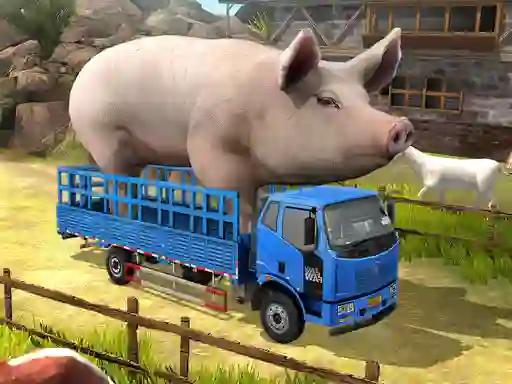 遊戲Driver Master Simulator在線