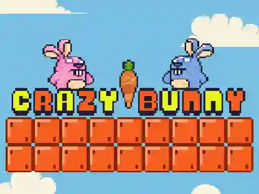 遊戲Crazy Bunny在線