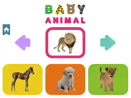 遊戲Baby Animal在線
