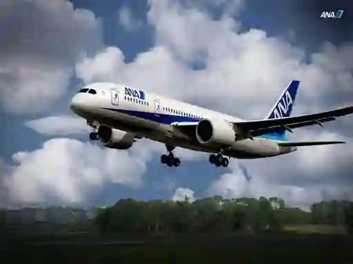 遊戲Boeing Dreamliner Puzzle在線