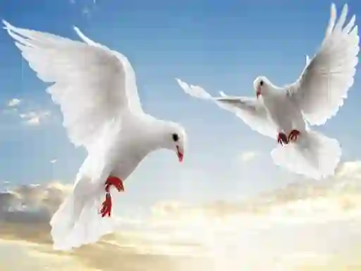 遊戲Flying Birds在線