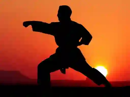 遊戲Karate Sunset Warriors在線