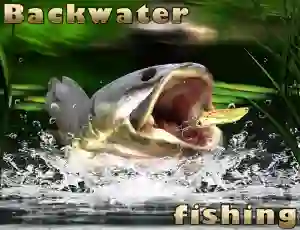 遊戲Backwater Fishing在線