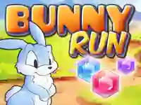 遊戲Bunny Run在線
