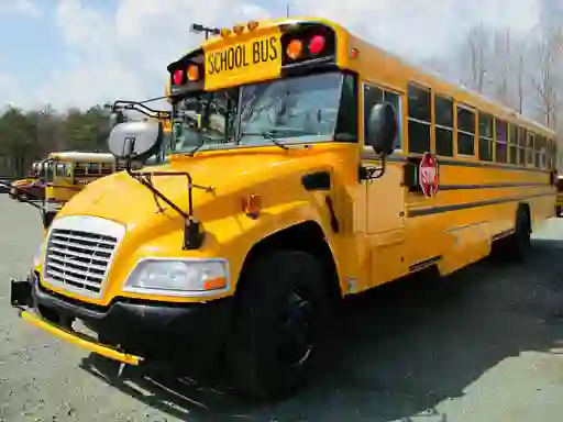 遊戲School Buses Puzzle在線