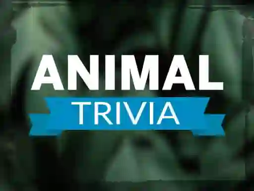 遊戲Animal Trivia在線