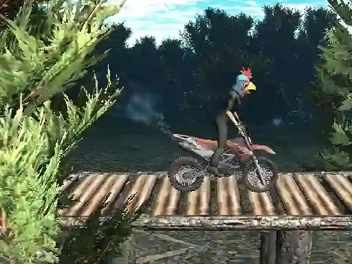 遊戲Bike Trial Xtreme Forest在線