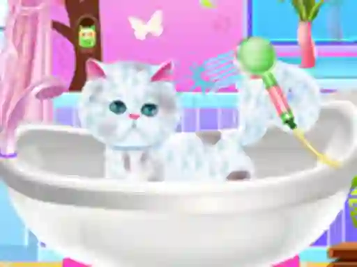 遊戲Excellent Pet Groomer在線