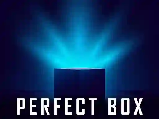 遊戲Perfect Box在線