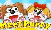 遊戲Meet Puppy在線