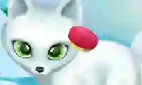 遊戲Paws to Beauty Arctic Edition在線
