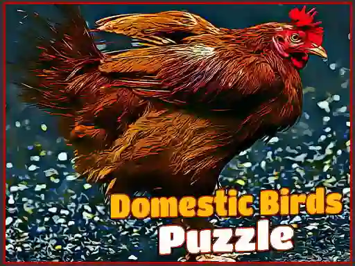 遊戲Domestic Birds Puzzle在線