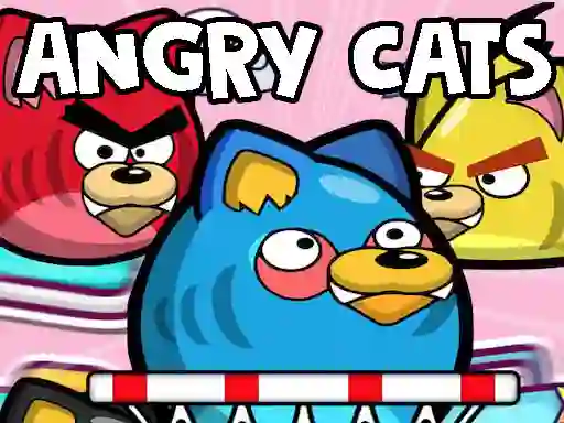 遊戲Angry Cats在線