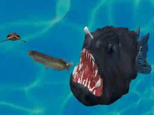 遊戲Fish 3d在線