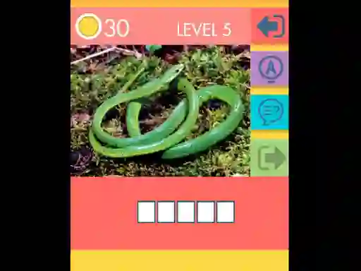 遊戲15 Picture Quiz在線