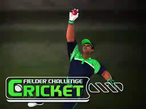遊戲Cricket Fielder Challenge在線