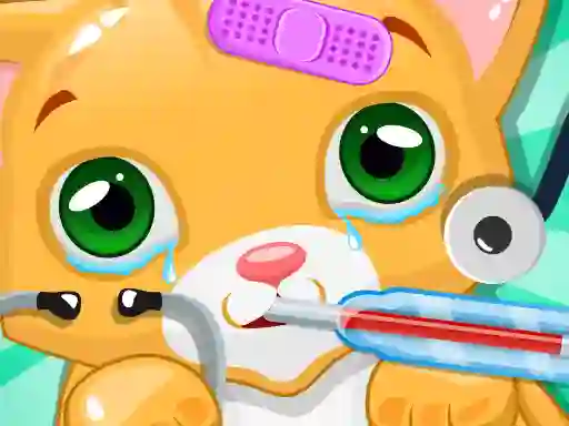 遊戲Kitty Doctor在線