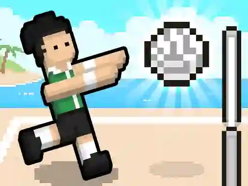 遊戲Volley Random在線