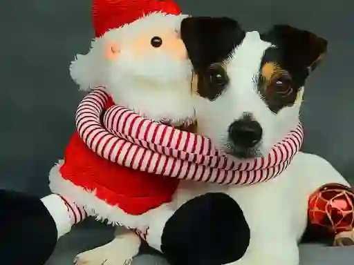 遊戲Funny Christmas Dogs在線