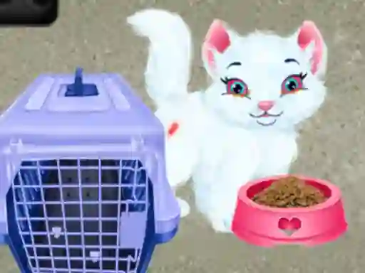 遊戲Baby Taylor Pet Care在線