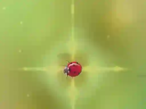遊戲Pest Control在線