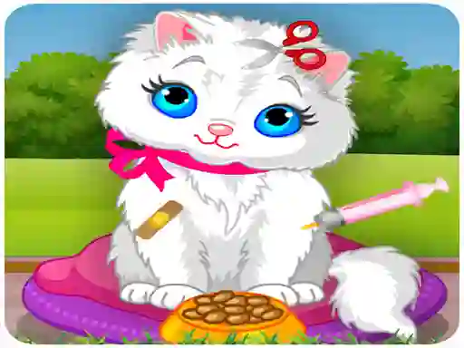 遊戲Vet Cat Clinic在線
